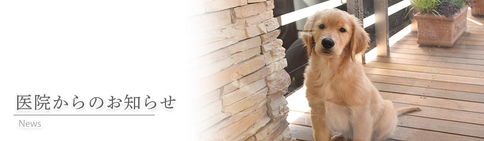 キービジュアル